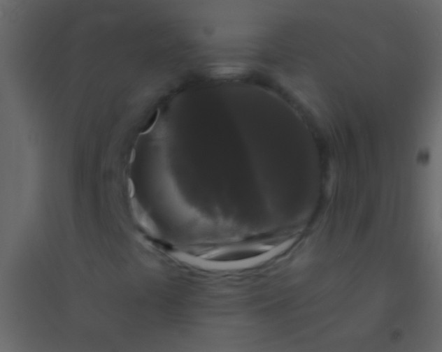 X0000094961441200712131634