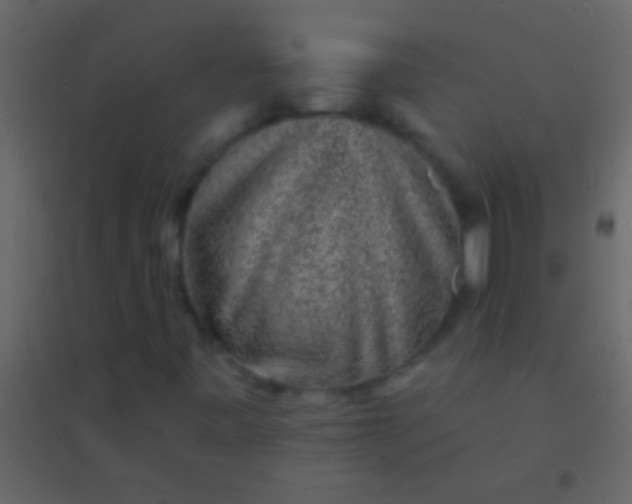 X0000094961443200712131634