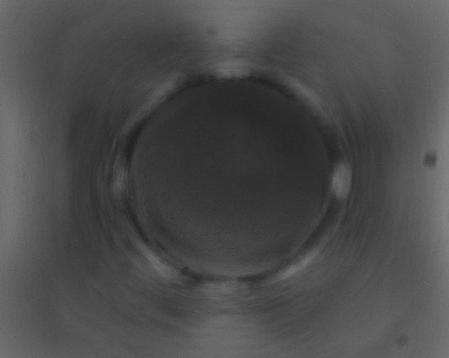 X0000094961444200712131634