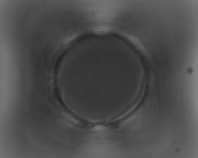 X0000094961445200712131634