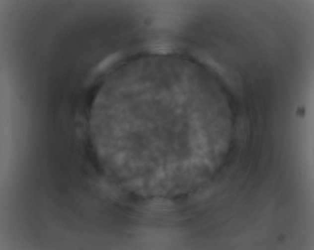 X0000094961446200712131634