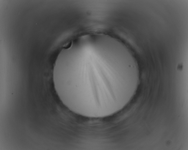 X0000094961447200712131634