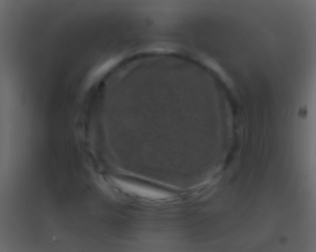 X0000094961448200712131634