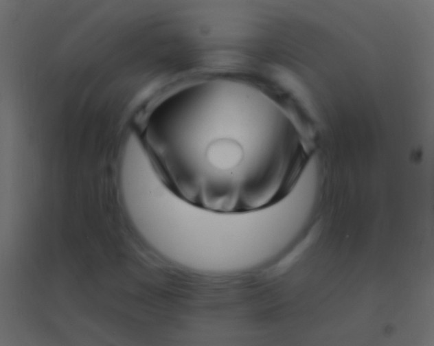 X0000094961449200712131634