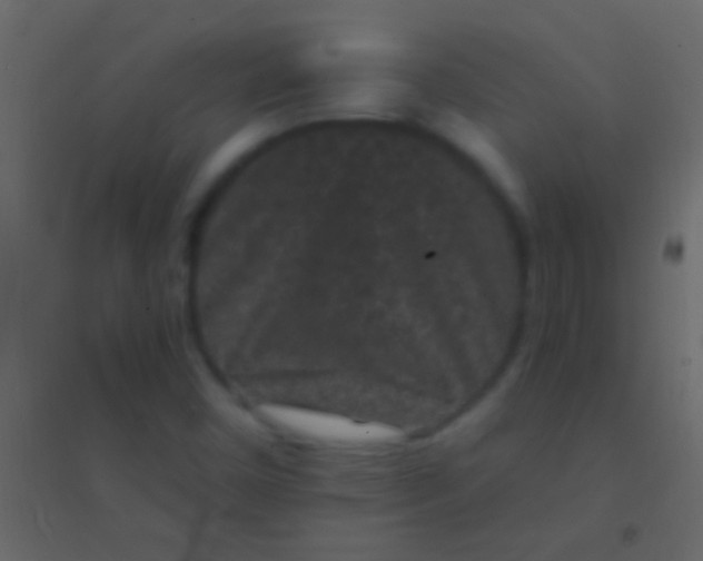 X0000094961450200712131634