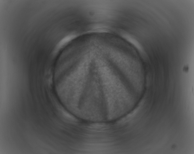 X0000094961451200712131634