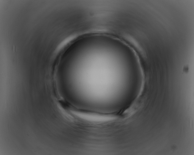 X0000094961452200712131634