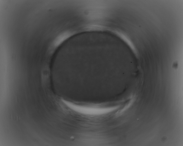 X0000094961453200712131634