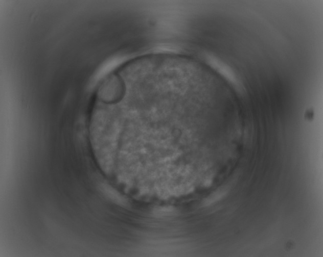 X0000094961454200712131634