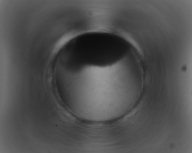 X0000094961455200712131634