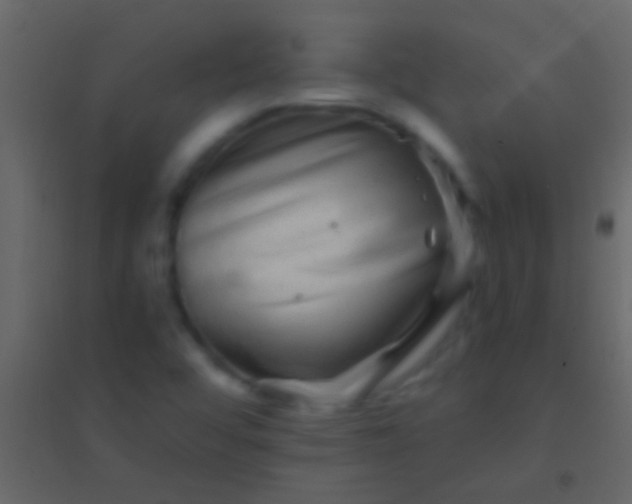 X0000094961456200712131634