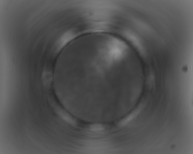 X0000094961457200712131634