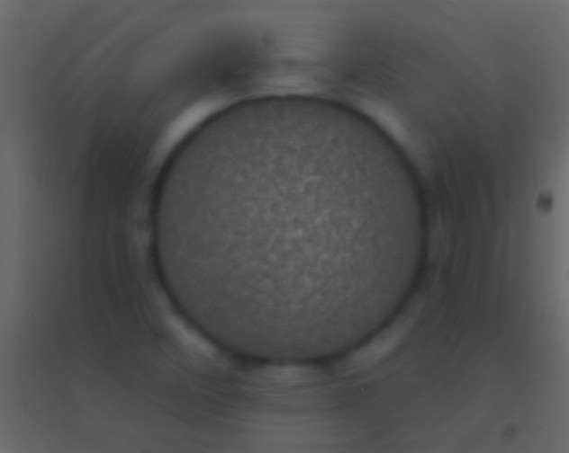 X0000094961458200712131634