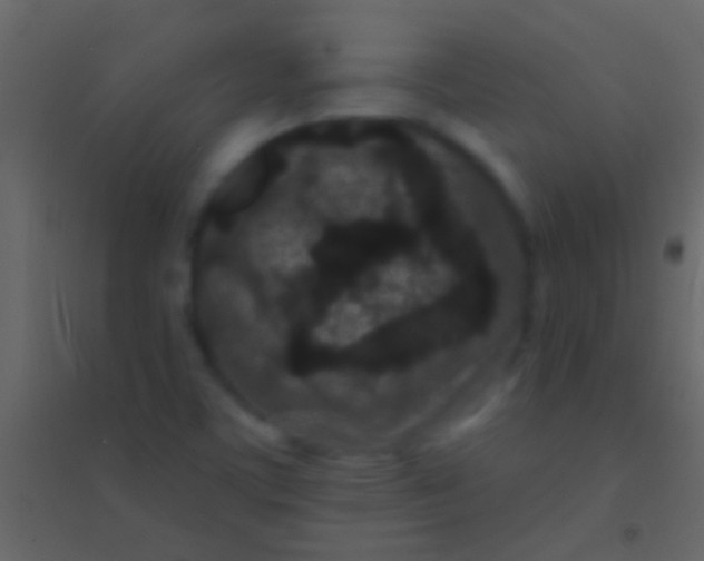 X0000094961459200712131634