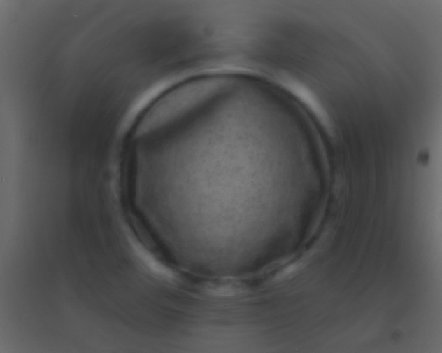 X0000094961460200712131634