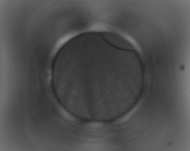 X0000094961461200712131634