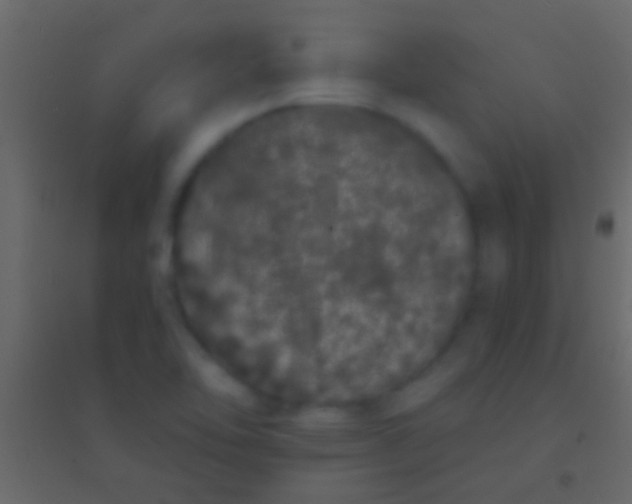 X0000094961462200712131634