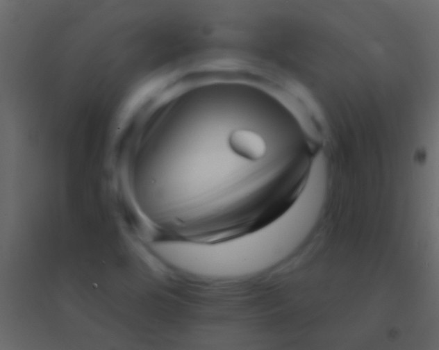 X0000094961464200712131634