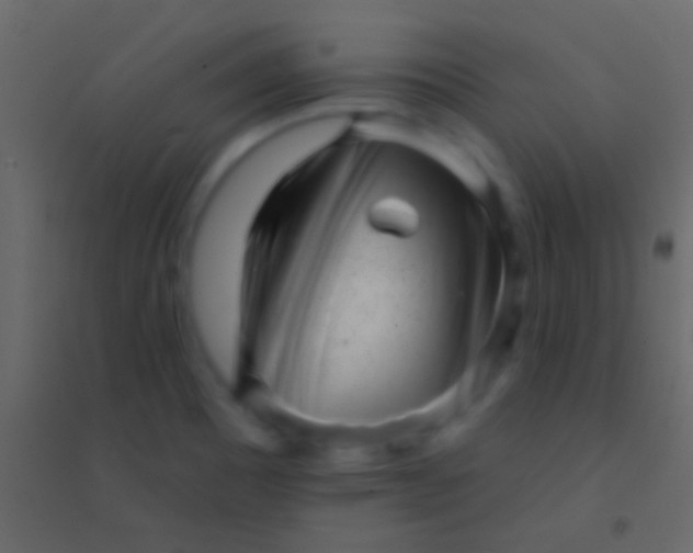 X0000094961465200712131634