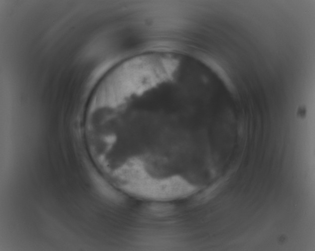 X0000094961466200712131634