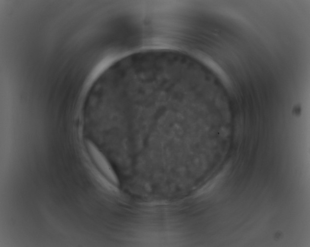 X0000094961467200712131634