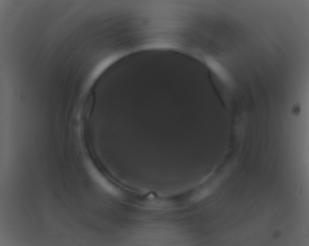 X0000094961468200712131634