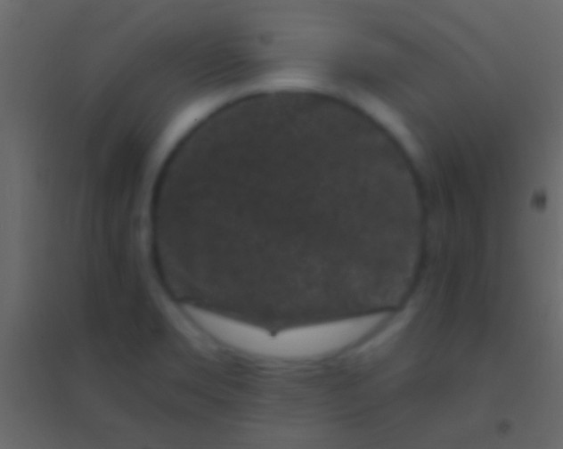 X0000094961469200712131634