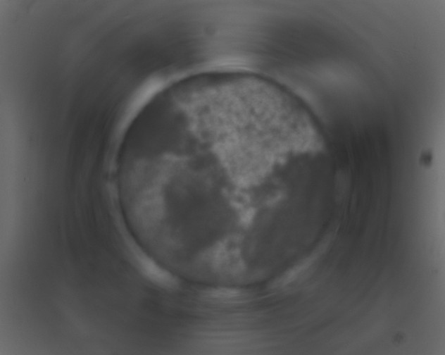 X0000094961470200712131634