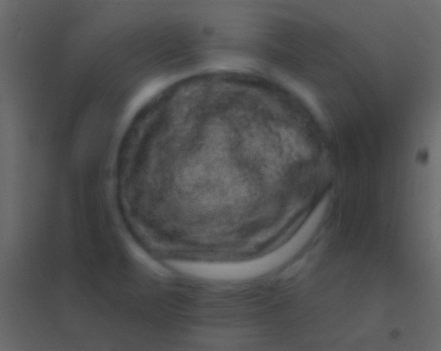 X0000094961471200712131634