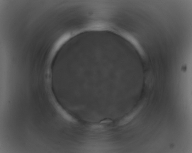 X0000094961472200712131634