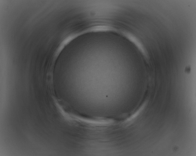 X0000094961473200712131634