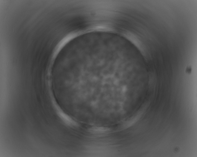 X0000094961474200712131634