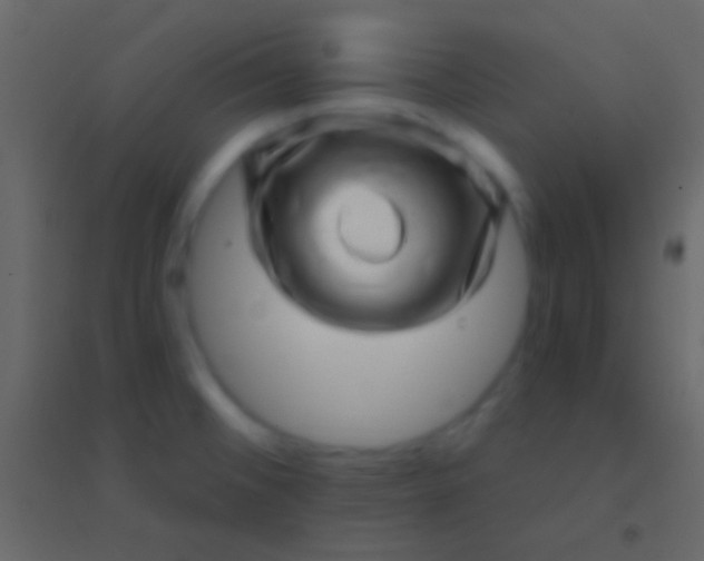 X0000094961476200712131634