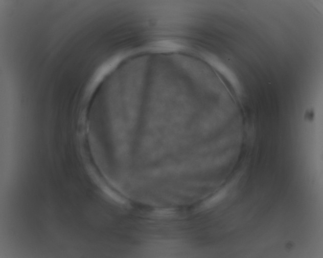 X0000094961477200712131634