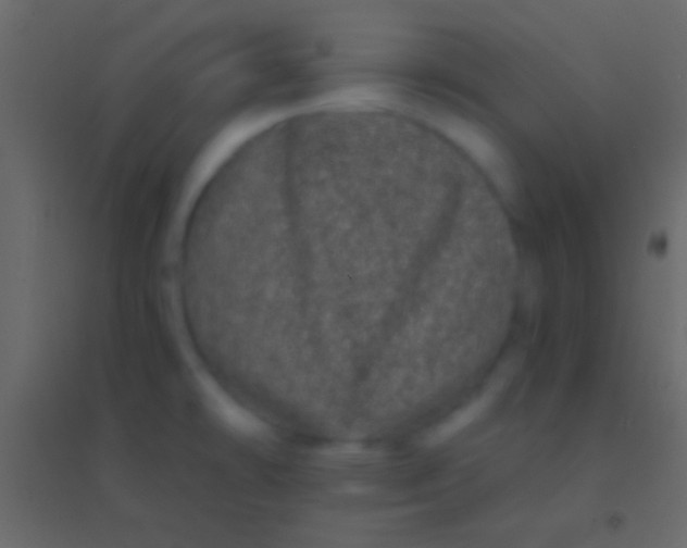 X0000094961478200712131634