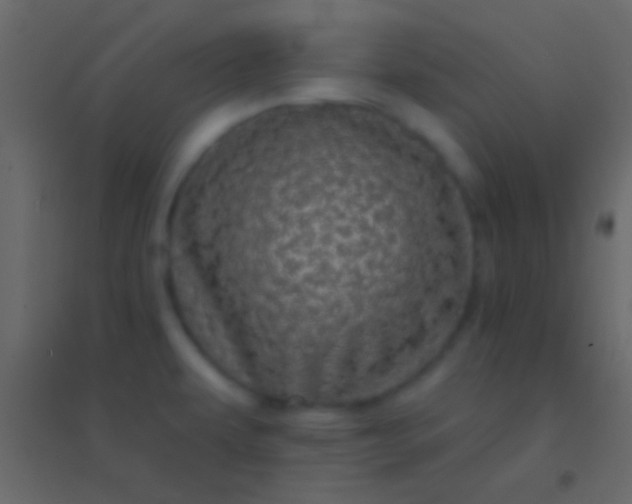 X0000094961479200712131634