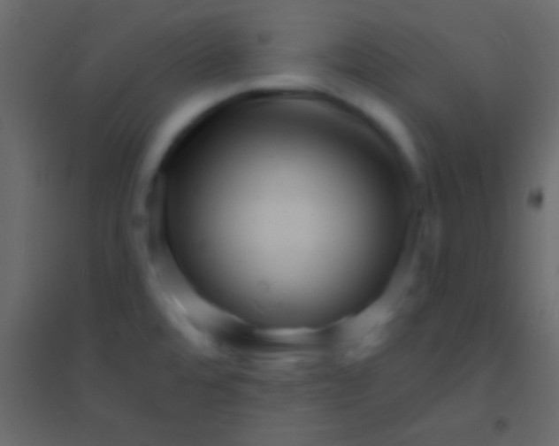 X0000094961480200712131634