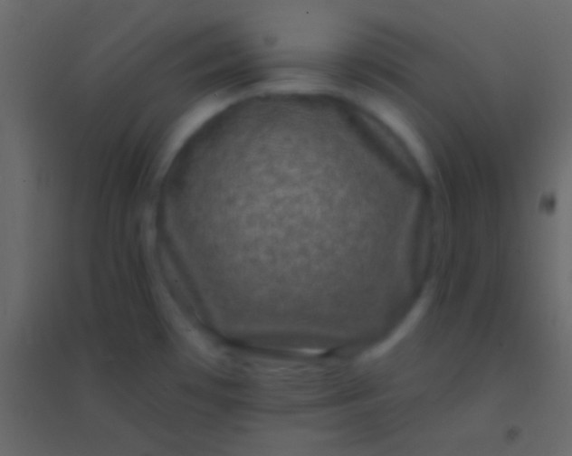 X0000094961481200712131634