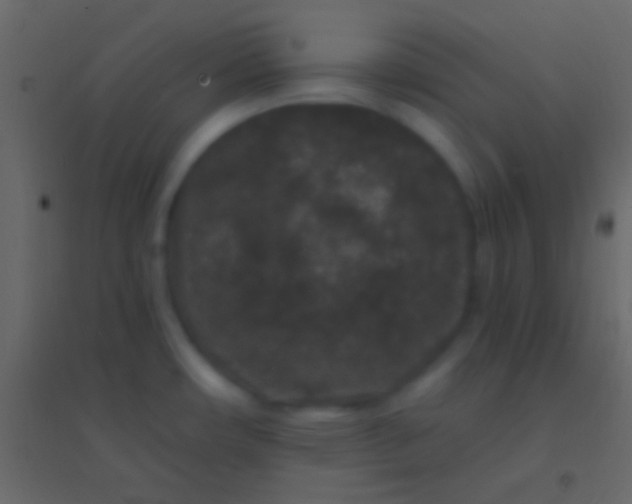 X0000094961482200712131634