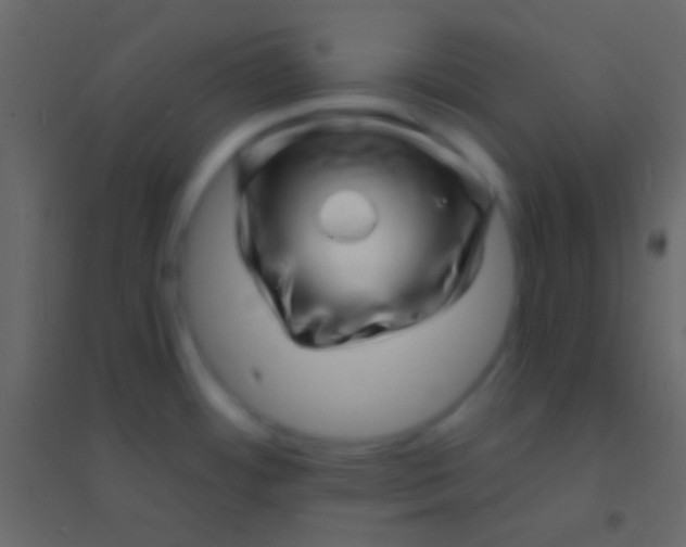 X0000094961484200712131634