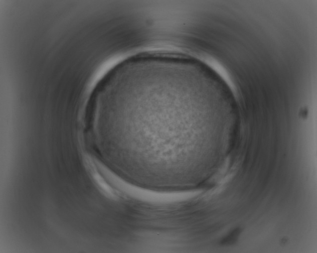 X0000094961485200712131634