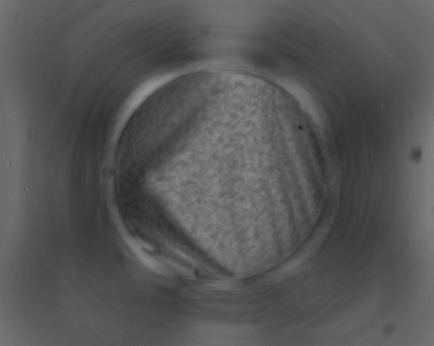 X0000094961486200712131634