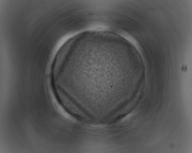 X0000094961488200712131634