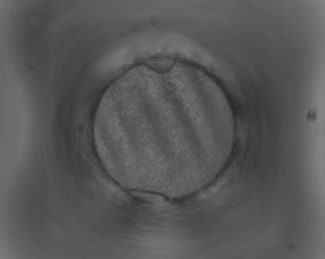 X0000094961489200712131633