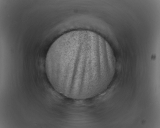 X0000094961490200712131633