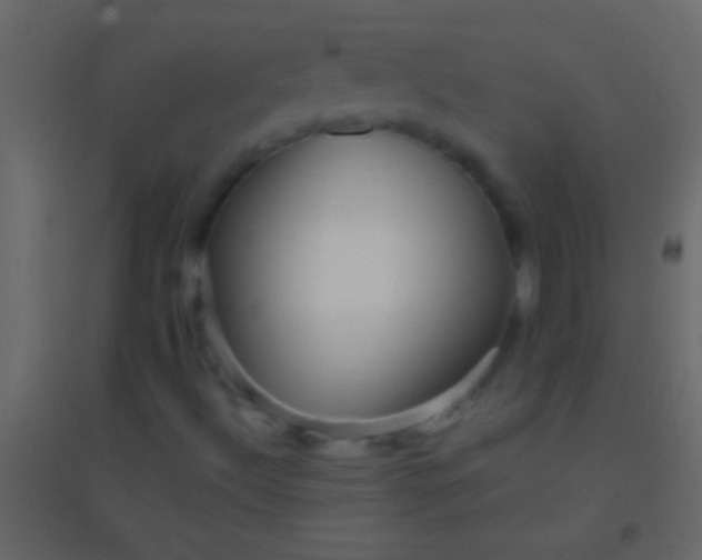 X0000094961492200712131633