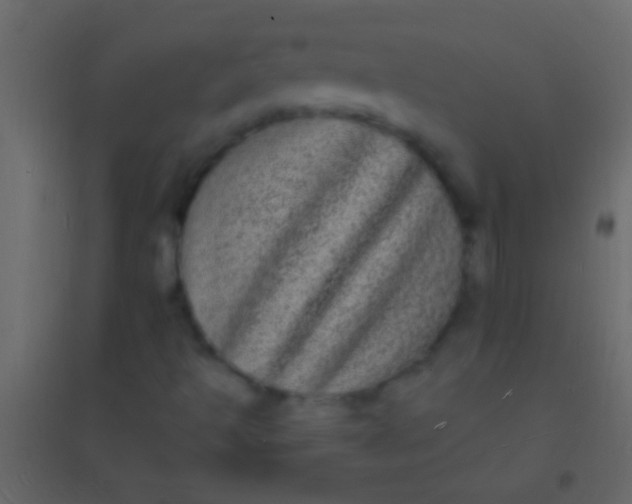 X0000094961493200712131633