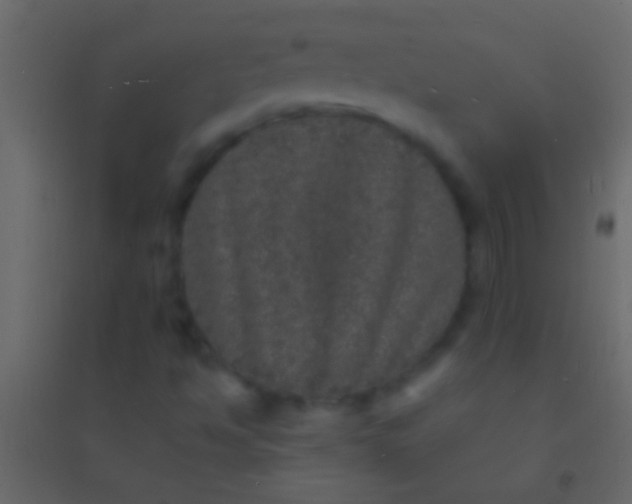 X0000094961494200712131633