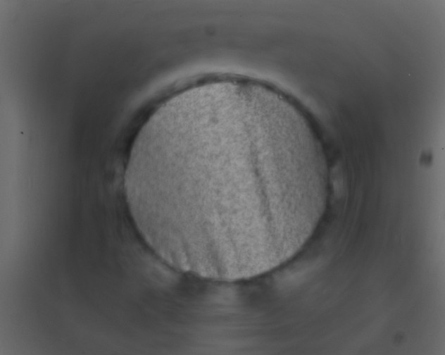 X0000094961495200712131633