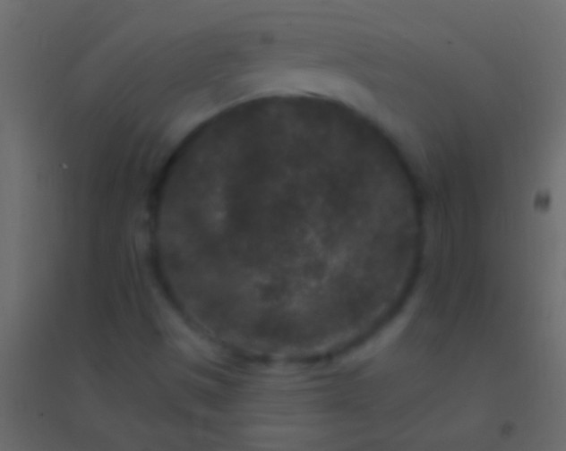 X0000094961497200712131633